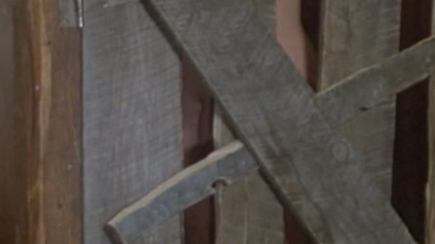 Pic: Blair Brown in Continental Divide