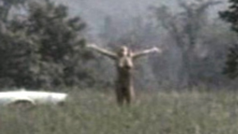 Pic: Dyan Cannon in Child Under a Leaf