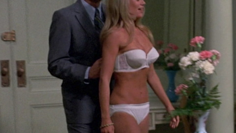 Pic: Dyan Cannon in The Anderson Tapes