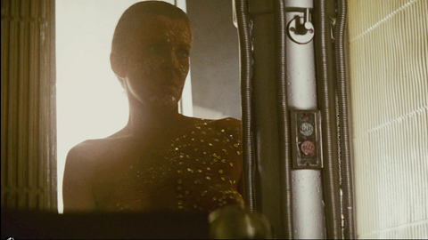 Pic: Joanna Cassidy in Blade Runner
