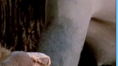 Pic: Rae Dawn Chong in Quest for Fire