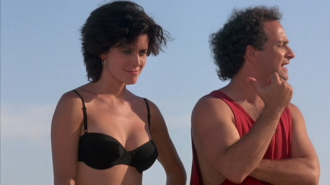 Pic: Courteney Cox in The Opposite Sex and How to Live with Them