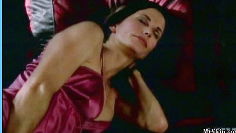 Pic: Courteney Cox in Dirt (2007-2008)