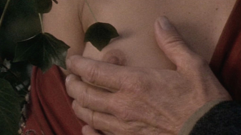 Pic: Maria de Medeiros in Henry & June