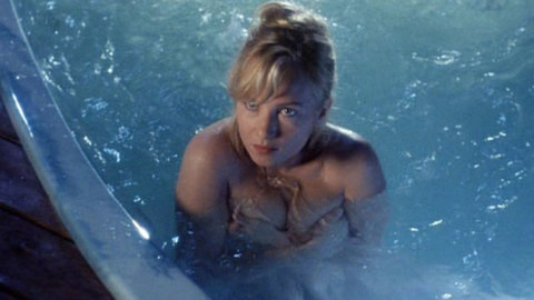 Pic: Rebecca De Mornay in Blind Side