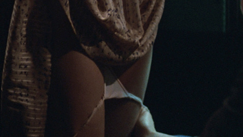 Pic: Rebecca De Mornay in Risky Business