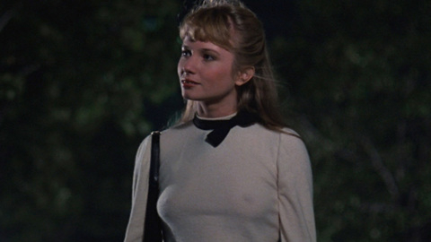 Pic: Rebecca De Mornay in Risky Business