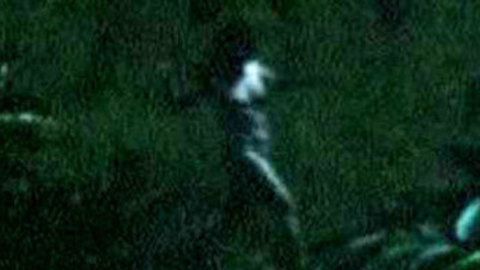 Pic: Judi Dench in Langrishe, Go Down