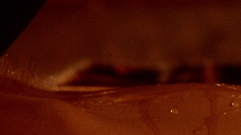 Pic: Bo Derek in Bolero