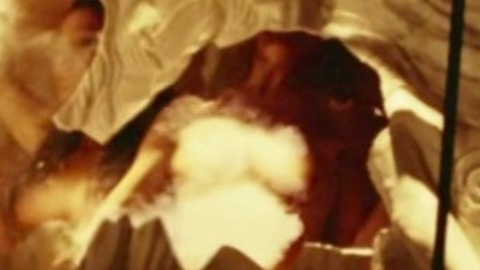 Pic: Cameron Diaz in Charlie's Angels: Full Throttle