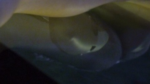 Pic: Cameron Diaz in The Counselor