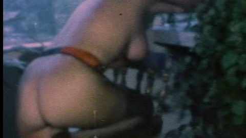 Pic: Uschi Digard in Sleazy 70s Stags