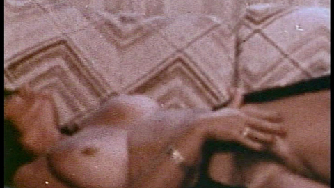 Pic: Uschi Digard in Sleazy 70s Stags