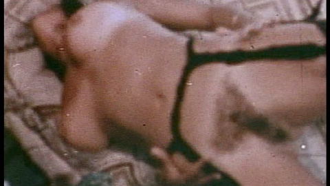 Pic: Uschi Digard in Sleazy 70s Stags