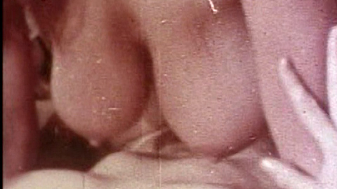 Pic: Uschi Digard in 42nd Street Pete's Busty Babe Bonanza