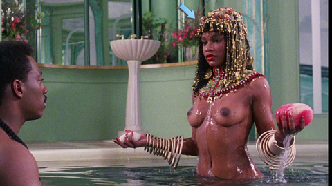 Pic: Victoria Dillard in Coming to America