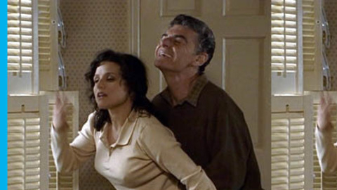 Pic: Julia Louis-Dreyfus in Deconstructing Harry (1997)