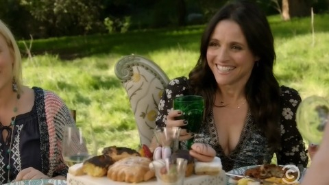 Pic: Julia Louis-Dreyfus in Inside Amy Schumer (2013-2022)