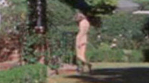 Pic: Faye Dunaway in The Arrangement