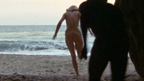 Pic: Faye Dunaway in The Arrangement