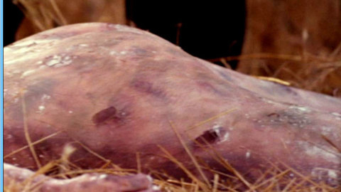 Pic: Stacy Edwards in Relentless 3