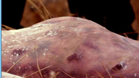 Pic: Stacy Edwards in Relentless 3