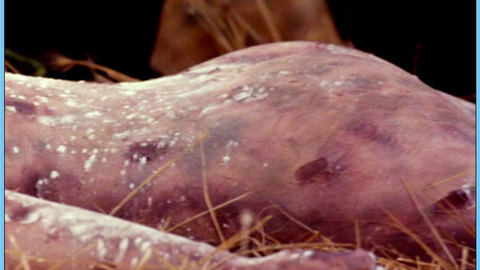 Pic: Stacy Edwards in Relentless 3