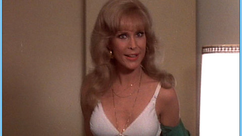 Pic: Barbara Eden in Harper Valley P.T.A.