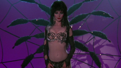 Pic: Cassandra Peterson in Elvira, Mistress of the Dark