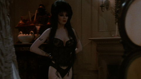 Pic: Cassandra Peterson in Elvira, Mistress of the Dark