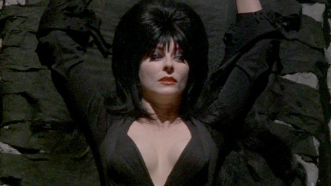 Pic: Cassandra Peterson in Elvira's Haunted Hills
