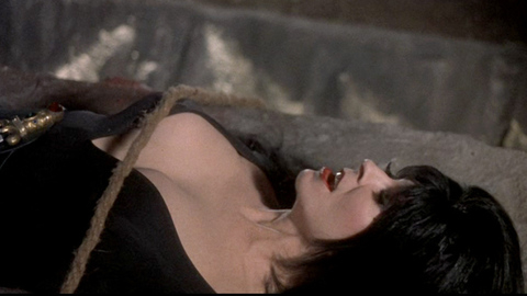 Pic: Cassandra Peterson in Elvira's Haunted Hills