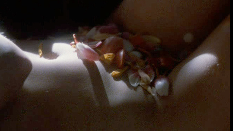 Pic: Angie Everhart in Another 9 1/2 Weeks