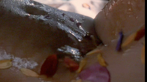 Pic: Angie Everhart in Another 9 1/2 Weeks