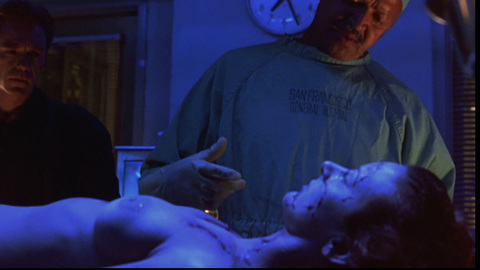Pic: Angie Everhart in Jade