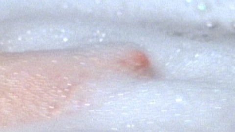 Pic: Morgan Fairchild in The Seduction