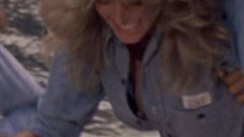 Pic: Farrah Fawcett in Charlie's Angels (1976-1981)