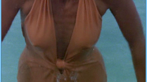 Pic: Farrah Fawcett in Charlie's Angels (1976-1981)