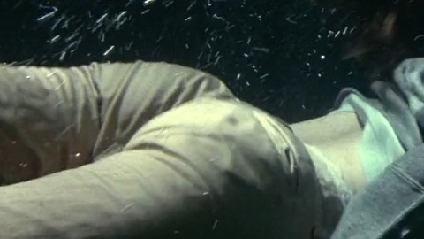 Pic: Bridget Fonda in Lake Placid (1999)