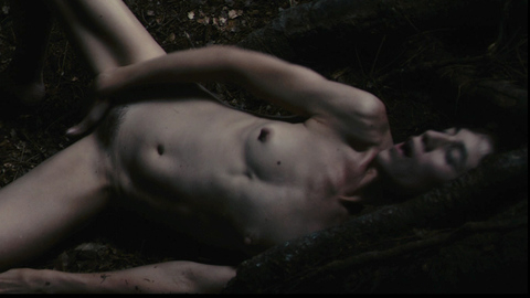 Pic: Charlotte Gainsbourg in Antichrist