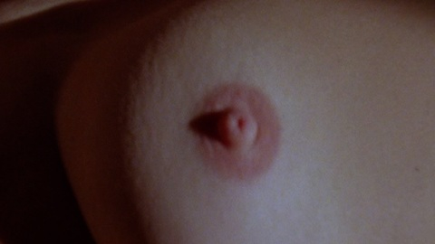 Pic: Gina Gershon in Bound