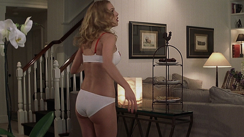 Pic: Heather Graham in Anger Management