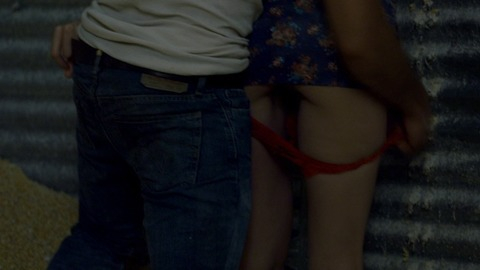 Pic: Heather Graham in At Any Price (2012)