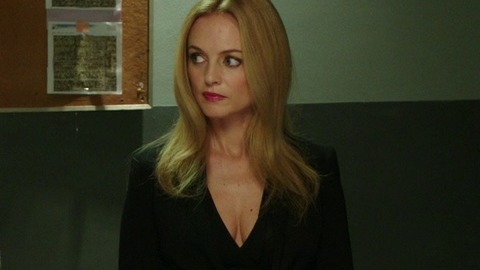 Pic: Heather Graham in Behaving Badly