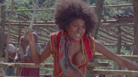 Pic: Pam Grier in The Big Bird Cage