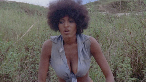 Pic: Pam Grier in The Big Bird Cage