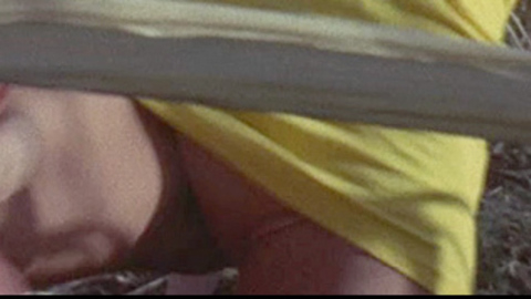 Pic: Pam Grier in The Big Doll House