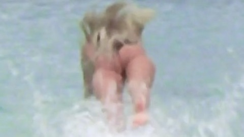Pic: Daryl Hannah in Splash