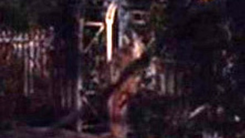 Pic: Daryl Hannah in Roxanne