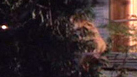 Pic: Daryl Hannah in Roxanne